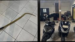 Sat Samapta Polres Bogor Bubarkan Geng Motor Dan Amankan Barang Bukti