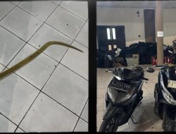 Sat Samapta Polres Bogor Bubarkan Geng Motor Dan Amankan Barang Bukti