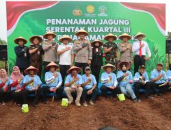 Dukung Swasembada Pangan 2025, Polda Metro Jaya Tanam Jagung di Tangerang Selatan