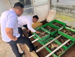 Dukung Ketahanan Pangan, Lapas Kelas IIA Salemba Kelola Sampah Organik