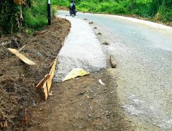Pekerjaan Bahu Jalan Pasirsuren Cikidang Kuat Dugaan Di Kurangi Ketebalan Beton Cor, Dinas PU Wajib Investigasi