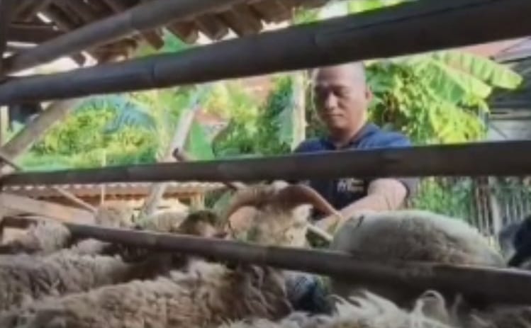 Kisah Inspiratif Polisi di Bekasi Bina Peternakan Kambing Dan Unggas Bantu Warga Naik Kelas Ekonomi