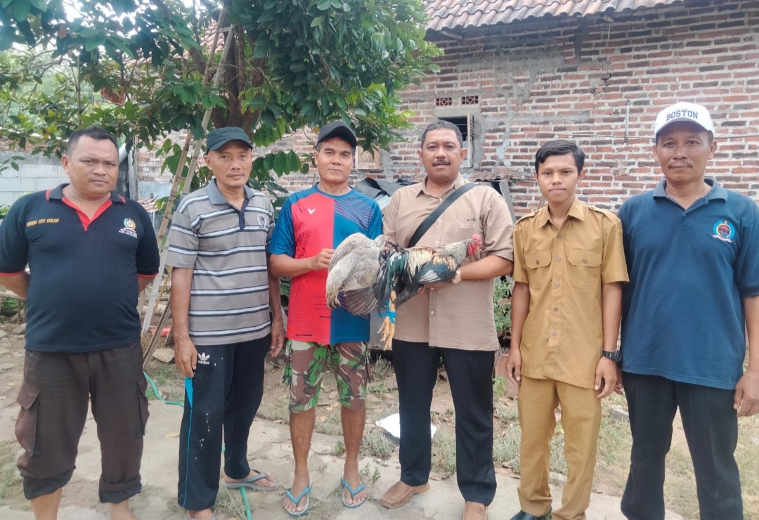 Lagi dan Lagi Kades Lebaksono Serahkan Bantuan Ayam Jawa Untuk Warga Kurang Mampu