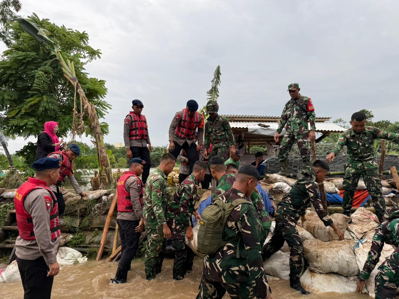 Brimob Polda Metro Jaya Dan TNI Tangani Tanggul Jebol di Muara Gembong