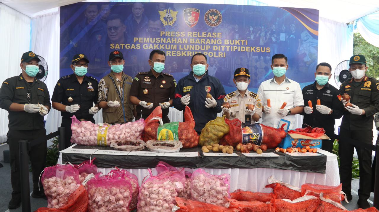 Bareskrim Polri Bersama Tim Satgas Gakkum dan Kejagung Musnahkan Ribuan Kilogram Bawang Impor Ilegal dari Jalur Tikus Perbatasan Malaysia.