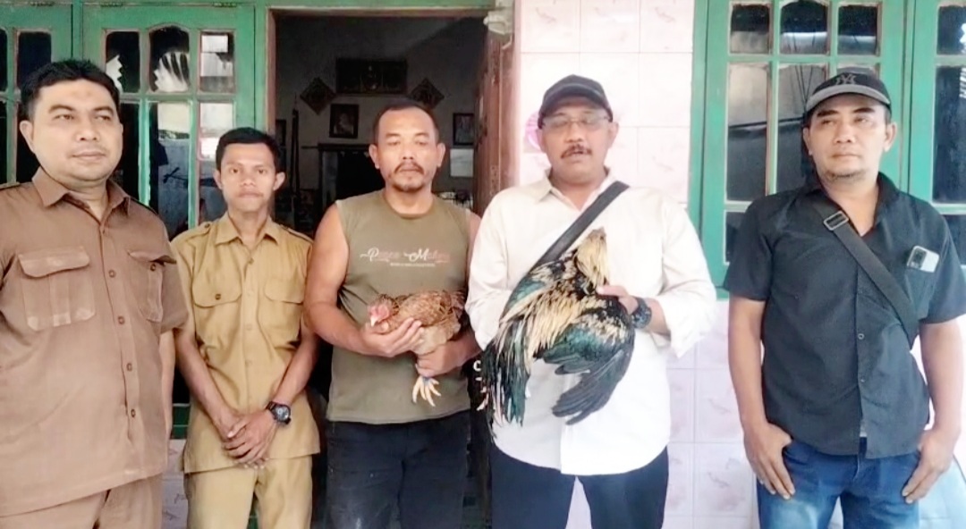 Tujuh Tahun Berkelanjutan, Kades Lebaksono Terus Beri Bantuan Ayam Demi Ketahanan Pangan