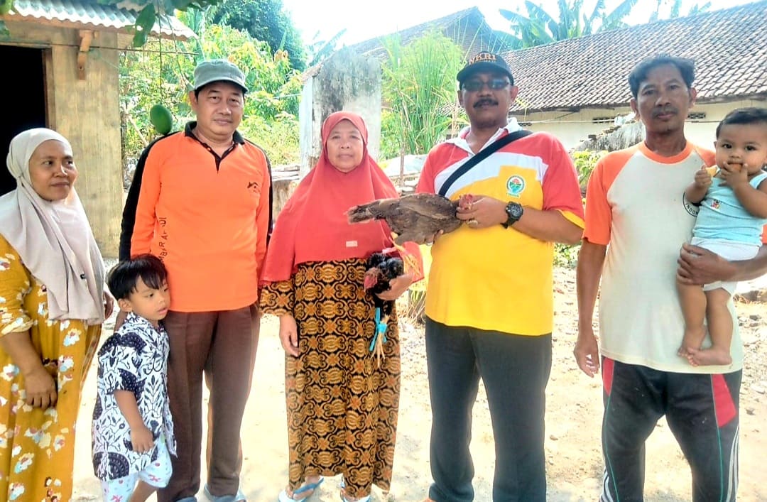 Tujuh Tahun Berkelanjutan, Kades Lebaksono Terus Bagikan Ayam Jawa Demi Ketahanan Pangan Warga
